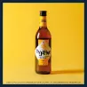 Moment de convivialité avec des amis dégustant le Pastis Breton Ty Jaune
