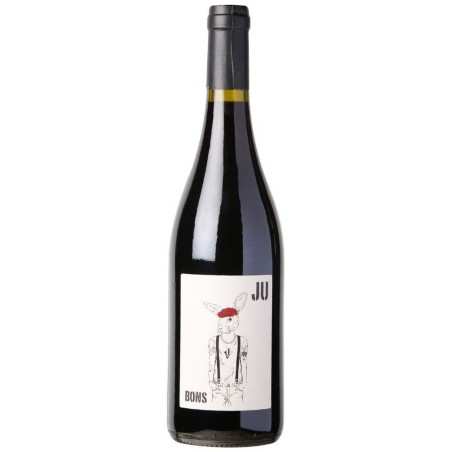 Ju de Vie Rouge "Domaine de la Graveirette" 75cl