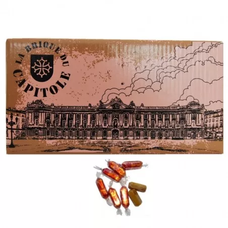 Briques du Capitole boite 300g