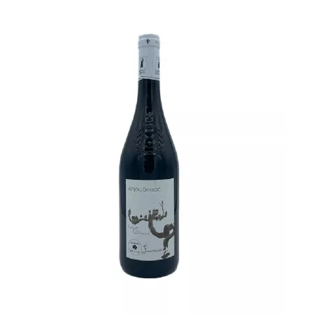 ANJOU BRISSAC "LES GROUAS" 2021 - VIN ROUGE - 1