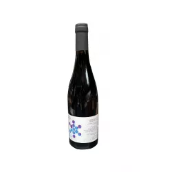 Vin Saint Nicolas de Bourgueil Rouge 75cl - Délicieux elixir de Loire