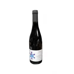 Vin Saint Nicolas de Bourgueil Rouge - 1