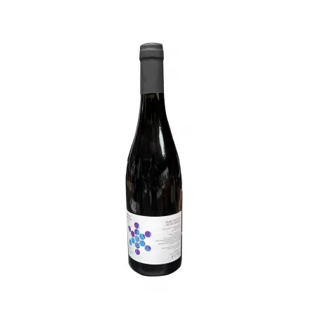 Bouteille de Vin Saint Nicolas de Bourgueil Rouge 75cl