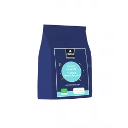 Thé blanc Neiges de Noël - Epices et agrumes (Mini sachet 20g) 