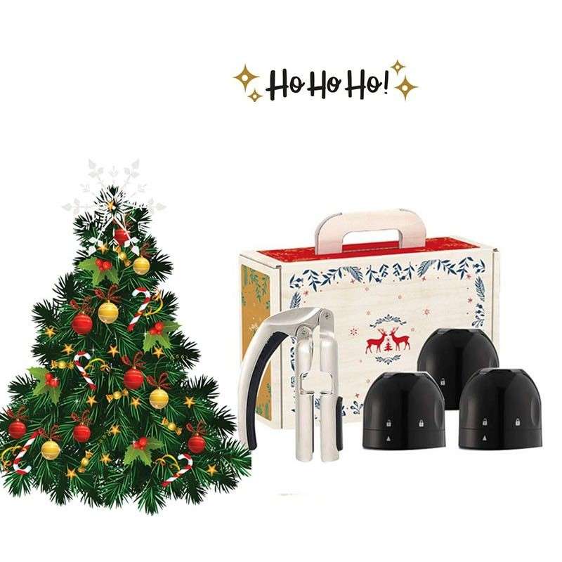 Coffret Cadeau "Ensemble de célébration effervescente" 