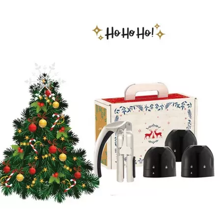 Coffret Cadeau "Ensemble de célébration effervescente"