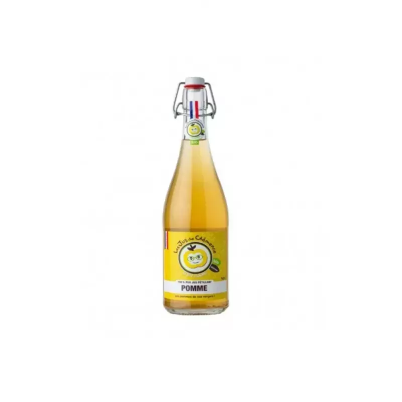 Pur Jus de Pomme BIO Pétillant 75cl 