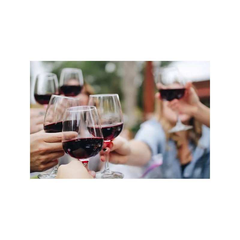 Bouteille de vin rouge ANJOU BRISSAC 'LES GROUAS' 2021"