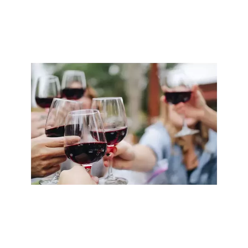 Bouteille de vin rouge ANJOU BRISSAC 'LES GROUAS' 2021"