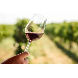 Verre de vin rouge avec robe intense et arômes de fruits rouges