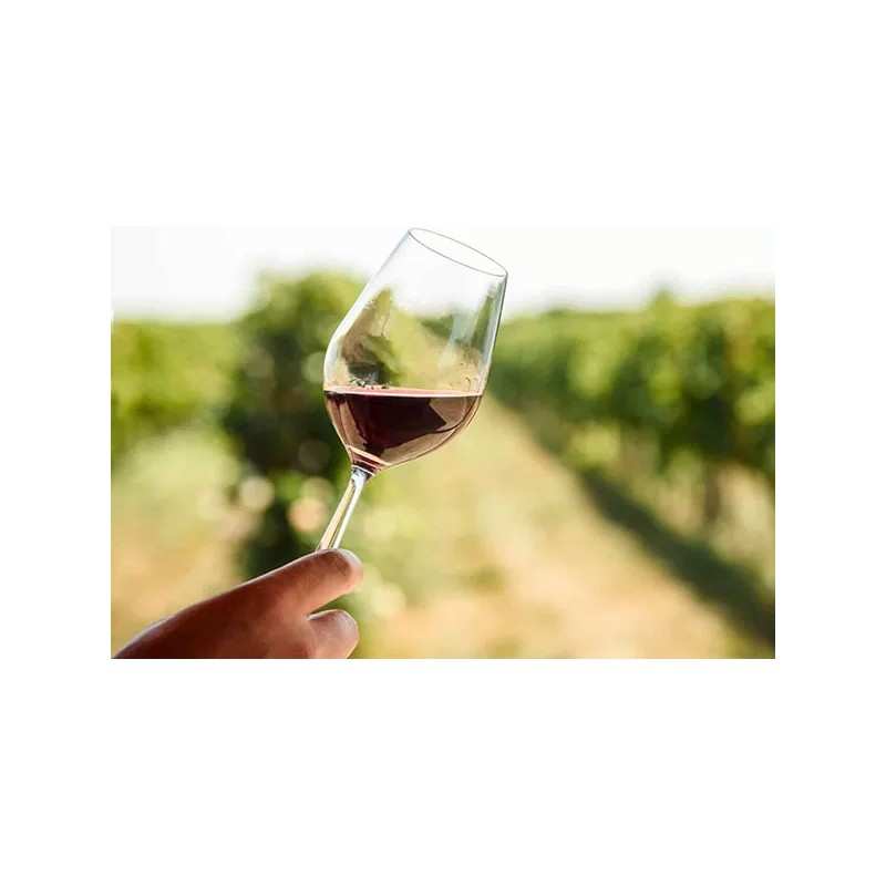 AOC Blaye Côtes de Bordeaux Vieilles Vignes - Château Haut Moulin 