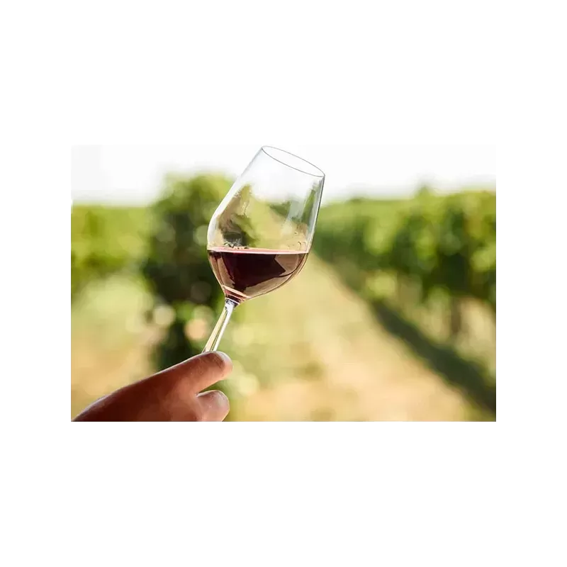 Verre de vin rouge avec robe intense et arômes de fruits rouges