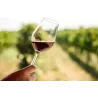 Verre de vin rouge avec robe intense et arômes de fruits rouges