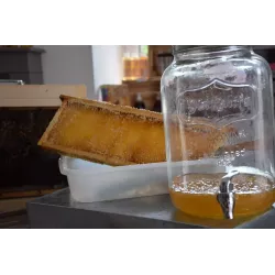 Miel Fleurs d'été 125g 