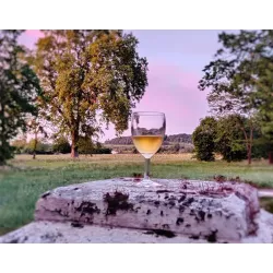 Vin Blanc Château du Mayne Sauterne 75cl 