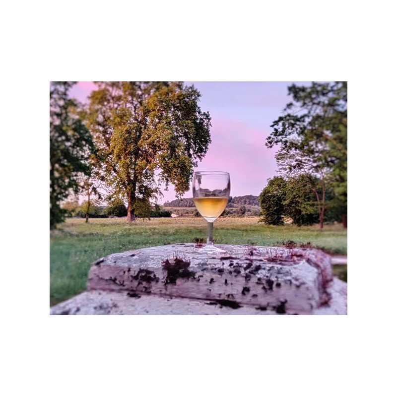 Vin Blanc Château du Mayne Sauterne 75cl 