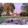 Vin Blanc Château du Mayne Sauterne 75cl 