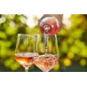 Vin rosé Domaine Marieuge 2022 - AOP Costières de Nîmes 75cl 