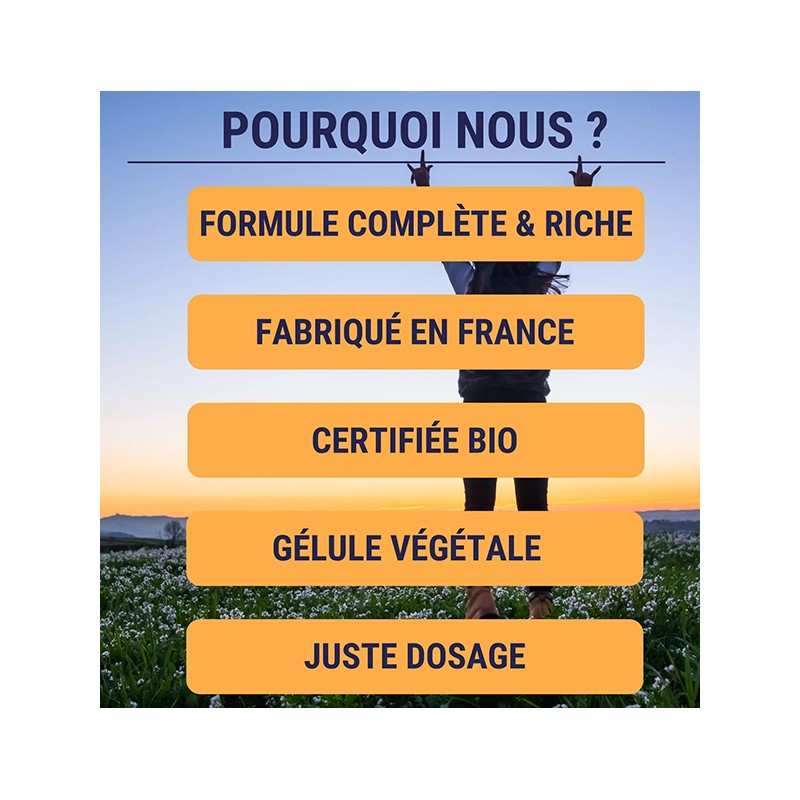 Formule Boost Bio 4G + Acérola – Énergie, Tonus & Immunité 