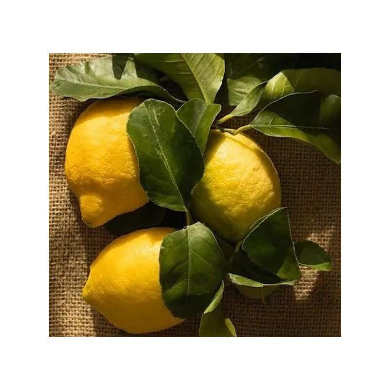 Biscuits Amandes Citron 50g 