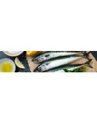 Sardines, Maquereaux, St Jacques - spécialités conserves bretonnes