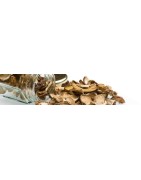 Cèpes - Spécialités du Sud Ouest , Champignons