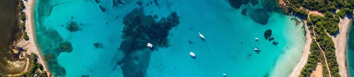 Corse