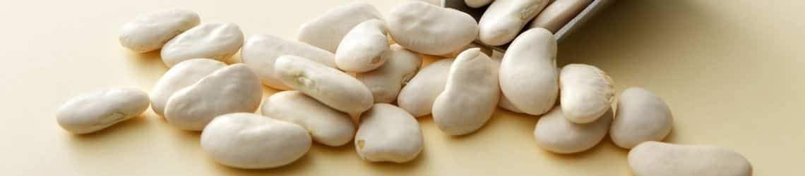 Haricots Tarbais