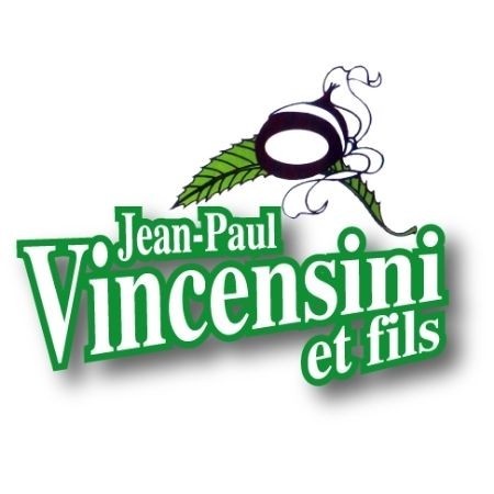 VINCENSINI